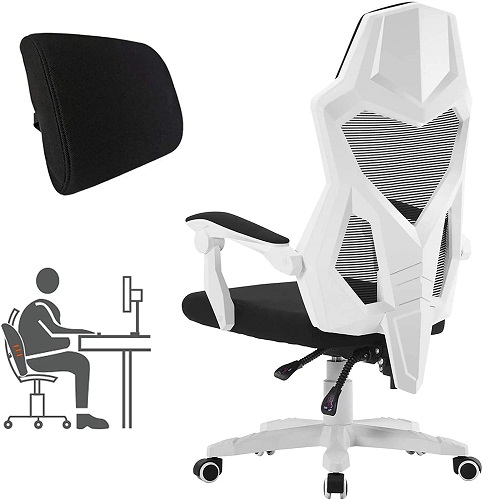 HOMEFUN ergonomic office chair