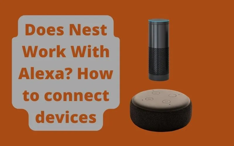 Does Nest Work With Alexa